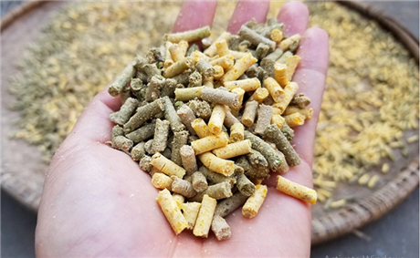 Đảm bảo chất lượng phân bón nhờ máy làm phân viên hữu cơ